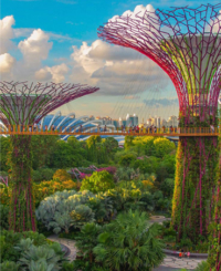 asia_gallery_1-1