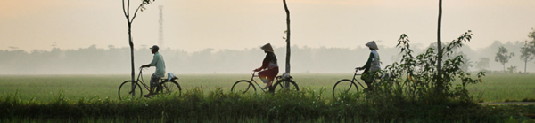 asia_gallery_5